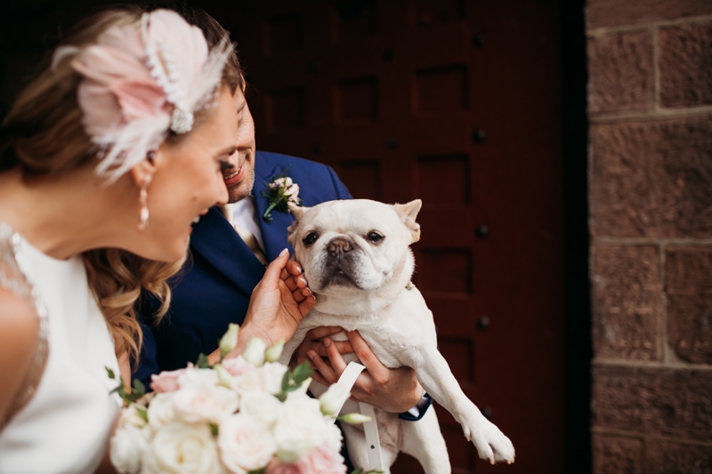 Wedding Photographer, the bride greets a french bull dog as the groom holds her